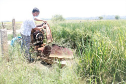 Xã Buôn Triết (huyện Lắk): Hàng chục hộ dân phải khoan giếng giữa đồng
