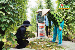 Nông dân Cư K’nia sản xuất hồ tiêu hữu cơ