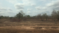 Cho thuê 447,5 ha đất tại huyện Ea H'leo thực hiện dự án nông lâm nghiệp