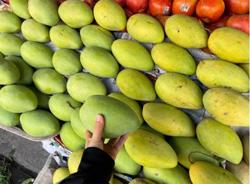 Giá trái cây giảm sâu