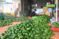 Nông sản hẹp đường tiêu thụ