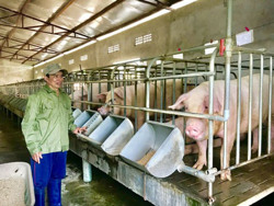 Làm giàu nhờ đổi mới tư duy chăn nuôi