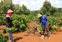 Cần sớm điều tra, làm rõ đối tượng hủy hoại tài sản công dân