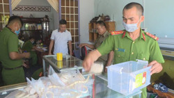 Phát hiện hơn 650 trang sức từ ngà voi và 90 lọ mật gấu