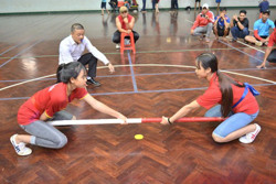 Hoãn Hội thi thể thao các dân tộc thiểu số năm 2021