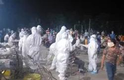 Sáng 8-5, phát hiện 15 ca mắc Covid-19 mới trong nước