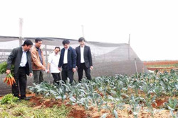 Đưa năng suất trở thành động lực phát triển quan trọng trong các ngành, lĩnh vực của địa phương