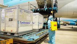 Gỡ mọi vướng mắc để có vaccine Covid-19 sớm nhất