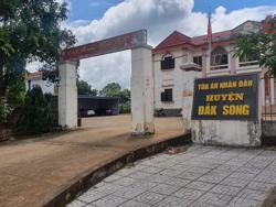 Chánh án TAND tỉnh Đắk Nông lên tiếng việc 1 thẩm phán lập 57 hồ sơ khống