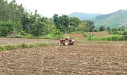 Huyện Ea Kar: Thiếu nước, tiến độ gieo trồng lúa vụ mùa chậm