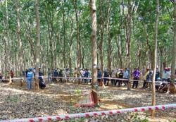 Thi thể người đàn ông đang phân huỷ trong rẫy cao su