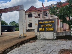 Vụ thẩm phán lập 57 hồ sơ khống ở Đắk Nông: Khiển trách 2 lãnh đạo tòa án là không nghiêm?