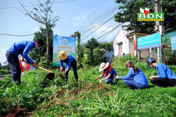 Tuổi trẻ Tây Nguyên xung kích, tình nguyện vì cộng đồng