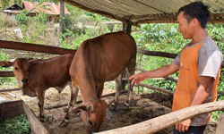 Thôn Ea Rớt sử dụng hiệu quả nguồn tài trợ