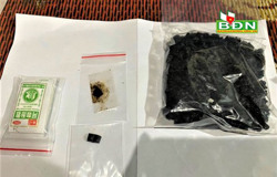 Krông Nô: Bắt 2 đối tượng mua bán, tổ chức sử dụng chất ma túy