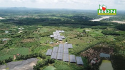 Doanh nghiệp ca thán vì... ế điện