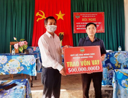 Trao 500 triệu đồng vốn vay hỗ trợ nông dân nuôi bò vỗ béo