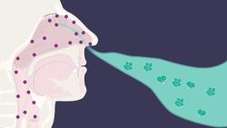 Mất khứu giác và vị giác có phải triệu chứng khi nhiễm Covid-19?