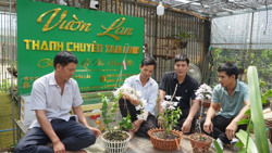 Từ đam mê đến làm giàu từ hoa lan