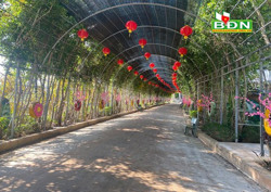 Du lịch hoạt động cầm chừng