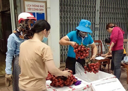 Hội LHPN tỉnh phát động "Tuần lễ cao điểm chung tay phòng, chống khắc phục thiệt hại đại dịch COVID-19"