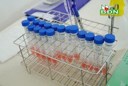 Khẩn trương truy vết, cách ly 10 trường hợp ở Đắk Nông tiếp xúc gần với 2 bệnh nhân Covid-19