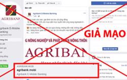 Nở rộ website giả mạo, lừa đảo trong mùa dịch