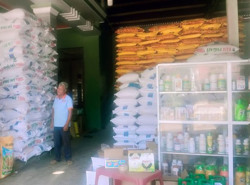 Huyện Krông Bông: Giá phân bón tăng cao, nông dân lo lắng