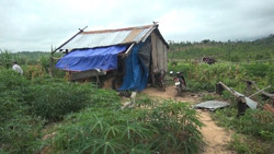 Huyện Ea Súp: Dân di cư tự do tiếp tục tăng