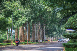 "Xanh" - linh hồn của Buôn Ma Thuột