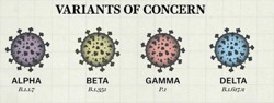 Ảnh hưởng của các biến thể vi rút SARS-CoV-2 lên vắc xin