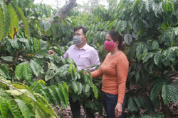 "Bà đỡ" thoát nghèo ở huyện Ea Kar