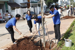 Trồng cây xanh - biện pháp bảo vệ môi trường hiệu quả