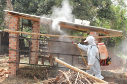 Chủ động ngăn chặn dịch bệnh viêm da nổi cục trên trâu, bò