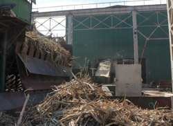 Huyện Ea Súp: Tăng cường phòng chống dịch tại các nhà máy