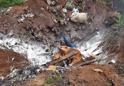 Xuất hiện bệnh viêm da nổi cục trên bò tại huyện Buôn Đôn