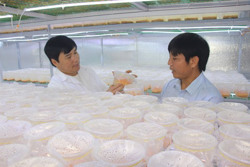 Đảng bộ huyện Krông Pắc: Kỳ vọng từ những quyết sách phát triển kinh tế