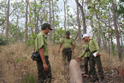 Công tác quản lý, bảo vệ, phát triển rừng: Nhiều vấn đề vẫn "nóng"