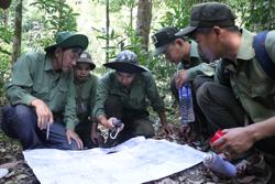 Quản lý, bảo vệ rừng đối mặt nhiều áp lực