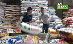 Nông dân tìm cách vượt khó do giá phân tăng cao