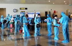 Cảnh báo lừa đảo hành khách mua vé chuyến bay quốc tế về Việt Nam