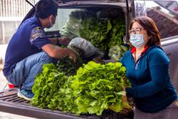 Đắk Lắk thương gửi rau cho người dân vùng dịch