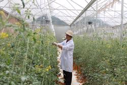 Tốc độ phát triển ngành NN-PTNT được duy trì ổn định