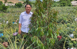 Chuyển đổi cây trồng để thoát nghèo