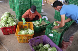 Ưu tiên ‘hàng mau hỏng’