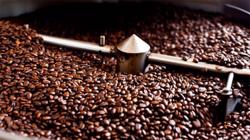 Giá cà phê hôm nay 21/7: Thị trường thế giới lấy lại đà tăng