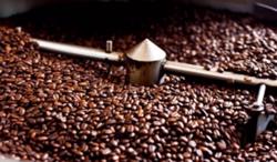 Giá cà phê hôm nay 30/7: Trong nước giảm nhẹ 300 đồng/kg