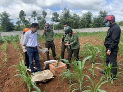 Dự án đường Hồ Chí Minh đoạn tránh phía Đông TP. Buôn Ma Thuột: Liên danh 4 đơn vị trúng thầu thi công gói thầu số 3