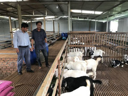 Xã Ea Kpam (huyện Cư M'gar): Nỗ lực "về đích" nông thôn mới nâng cao