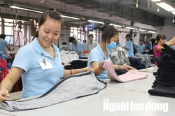 Đề xuất giảm 50% mức hưởng nếu rút bảo hiểm xã hội một lần: Sao lấy “của để dành” của người lao động